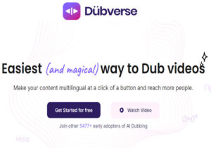 Dubverse AI